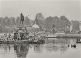 Peterhof / ***