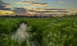 Evening / ***