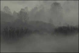 Nebliger Morgen / ***