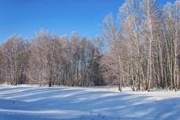 Schatten auf dem Schnee / ***