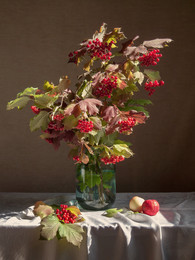 Autumn Still Life / 2015