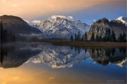 Almsee / Morgens am Almsee in Grünau