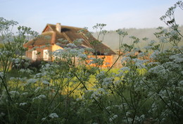 At dawn / ***