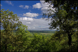 Eine schöne denek / ***