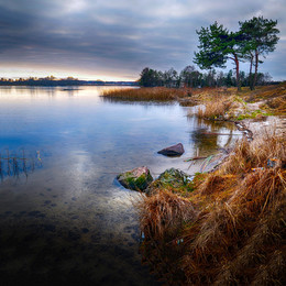 the coast / Poberezh'ye