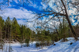 Small river / ***