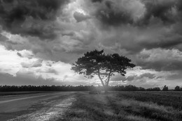 Before the storm / ***