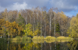about autumn / ...