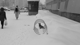 &nbsp; / [img]https://d.radikal.ru/d28/1804/31/c5cf8365b29a.jpg[/img]

[img]https://d.radikal.ru/d39/1804/e3/bf1dd14e8d4e.jpg[/img]