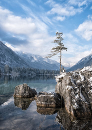 Ein frostiger Morgen / ***