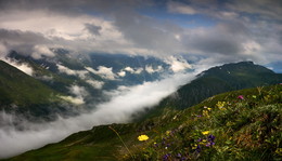Sommer in den Bergen / ***