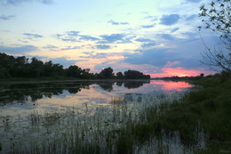 Summer evening. / ***