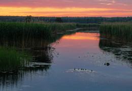The course of the sunset / Sony DSC HX300