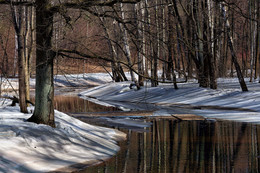 Frühling / ***