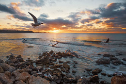 Evening at Sea / ***