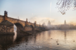 Karlsbrücke / ***