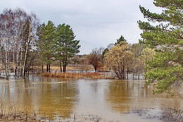 High-Water- / ***