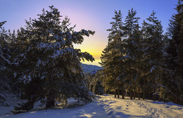 Sonnenuntergang im Winter / ***