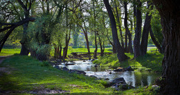 Spring / ***