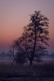 / Pentax KX, Takumar 28-80