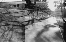 &nbsp; / fomapan 200