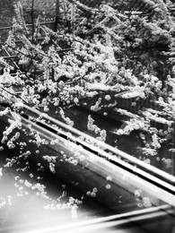 &nbsp; / [img]https://pp.userapi.com/c846418/v846418901/35504/lYhwMGD5LLY.jpg[/img]

[img]https://pp.userapi.com/c846418/v846418901/3550d/UCZjjAwq6qE.jpg[/img]

[img]https://pp.userapi.com/c846418/v846418901/35516/-7I3c3QQqr0.jpg[/img]

[img]https://pp.userapi.com/c846418/v846418901/35528/tsr41VyLQXc.jpg[/img]