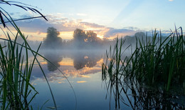 Gentle Dawn / Sony DSC HX 300