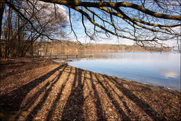 Pond / ___