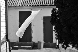 Yard / 27.03.2013
