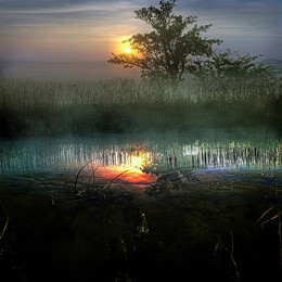 At dawn / ***