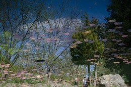 &nbsp; / [img]https://d.radikal.ru/d38/1804/a7/1aa47bf46345.jpg[/img]
[img]https://d.radikal.ru/d29/1804/6a/fcbd76b2bac4.jpg[/img]
[img]https://a.radikal.ru/a24/1804/82/ea64d88af778.jpg[/img]
[img]https://d.radikal.ru/d31/1804/ac/ecb6ba8f5fa8.jpg[/img]
[img]https://b.radikal.ru/b30/1804/2e/ab4fe0d0cd92.jpg[/img]
[img]https://c.radikal.ru/c04/1804/84/03135c4c18b8.jpg[/img]
[img]https://d.radikal.ru/d13/1804/10/9af84a97f954.jpg[/img]
