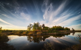 Spring Bank / ***