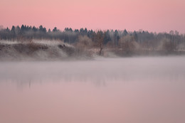 Pink morning / ***