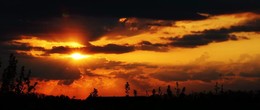 Sunrise in the village / ***