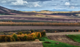 Autumn / ***