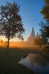 Foggy morning / ***