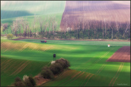 Moravské Toskánsko. / ***