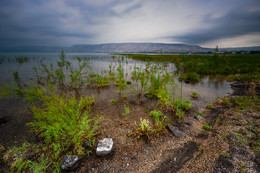 Kinneret / ***