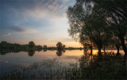 May morning / ***
