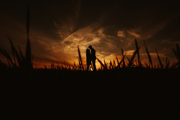 Lovers / ***