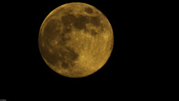 moon / ***