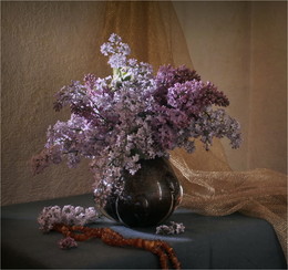Flieder / ***