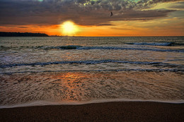 Evening at Sea / ***