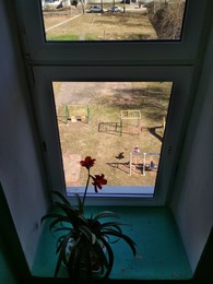 &nbsp; / [img]https://a.radikal.ru/a35/1805/a9/2a5ccda8dc4c.jpg[/img]