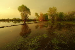 after the storm / ***