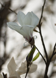 Tenderness / ***