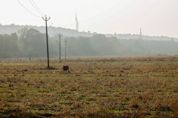 At dawn / ***