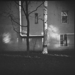 &nbsp; / Holga
[img]https://c.radikal.ru/c04/1805/83/81b040701975.jpg[/img]