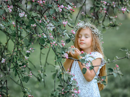 Spring / ***