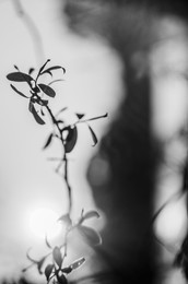 Beginning / ***